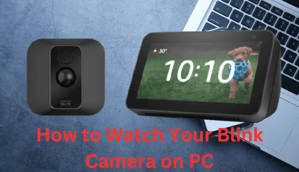 Step-by-step guide on connecting your Blink Camera system to the app