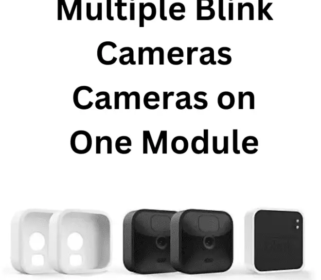 How many Blink Cameras can you have on One Module?