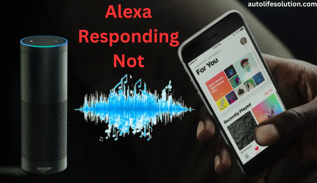 Ensure Your Alexa Software Is Up to Date