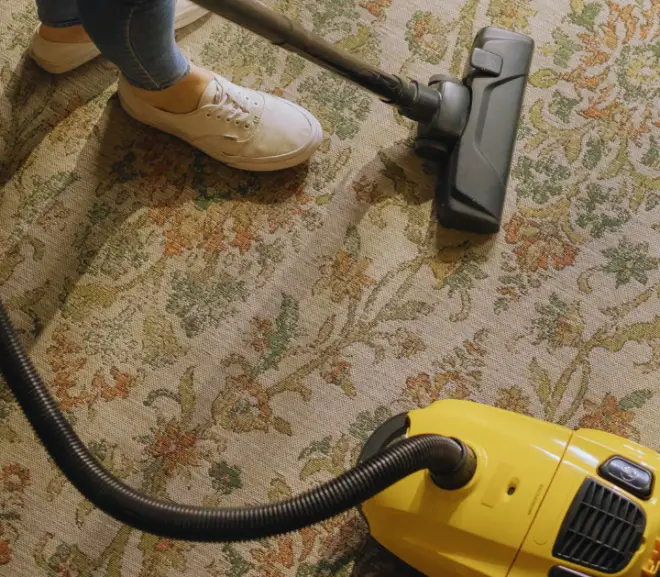 Does Wyze vacuum work with Alexa